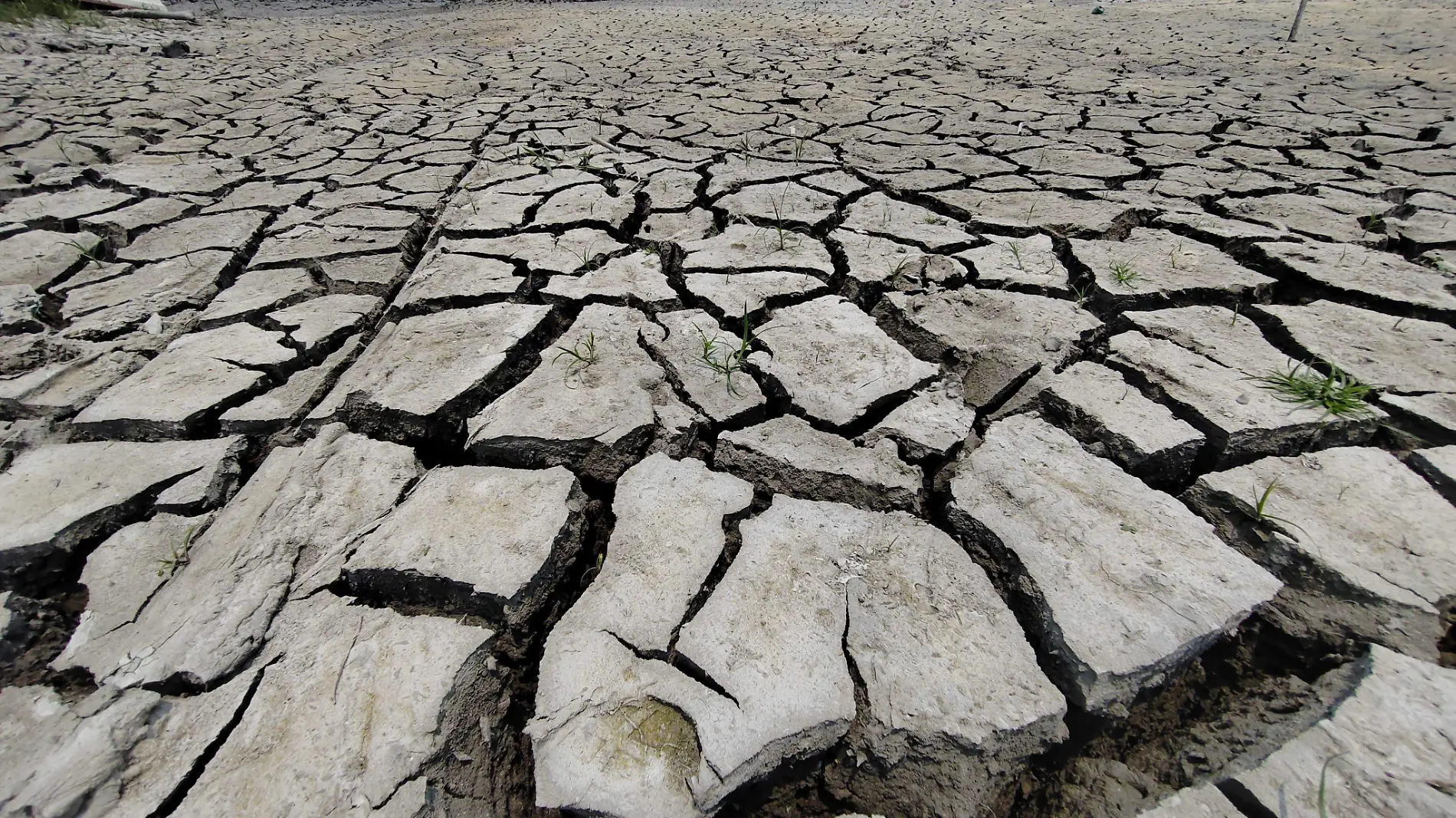 Sequía desaparece la laguna del Mayorazgo en Pánuco Veracruz